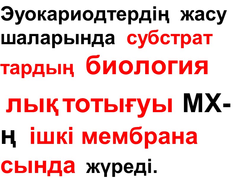Эуокариодтердің  жасу шаларында  субстрат тардың  биология   лық тотығуы МХ-ң
